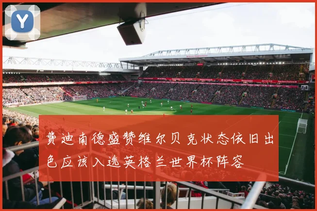 费迪南德盛赞维尔贝克状态依旧出色应该入选英格兰世界杯阵容