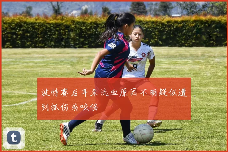 波特赛后耳朵流血原因不明疑似遭到抓伤或咬伤