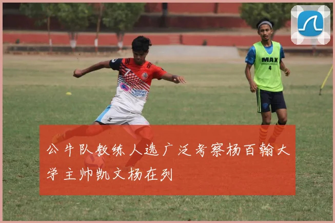 公牛队教练人选广泛考察杨百翰大学主帅凯文杨在列